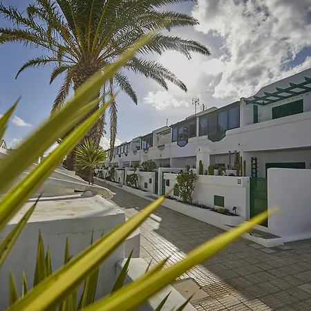 Palmeras Puerto Del Carmen