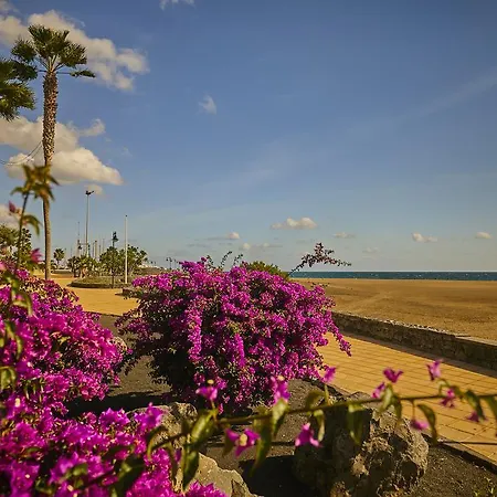 Casa vacanze Palmeras Puerto Del Carmen *