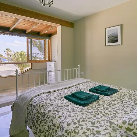 Palmeras * פוארטו דל כרמן