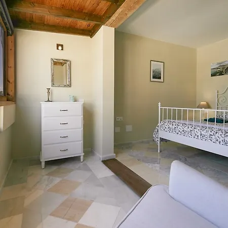 Palmeras פוארטו דל כרמן