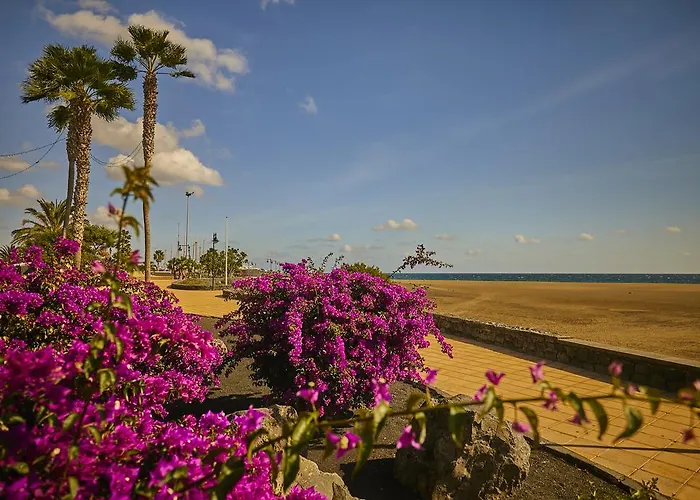 度假居 Palmeras *